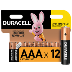 Батарейки DURACELL Basic AAA 1.5V LR03 12шт (5000394109254)