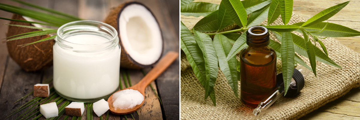 кокосовое масло и масло чайного дерева для заживления микротравм