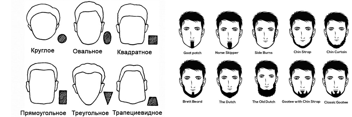 выбор бороды без усов в зависимости от типа лица